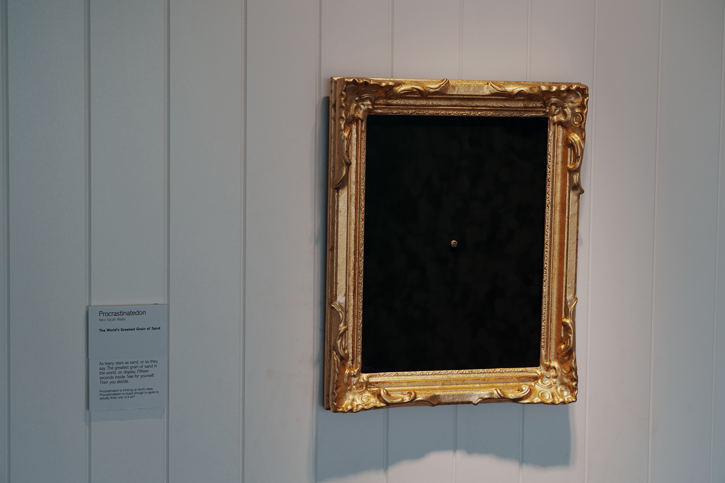 The framed grain and its wall label, photographed inside the gallery.