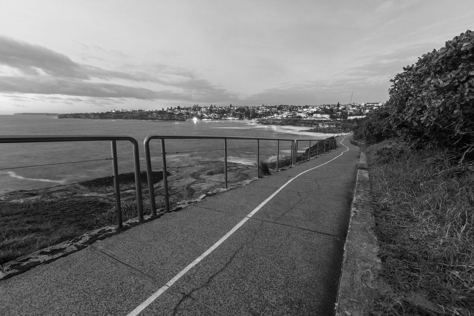 White Line Therapy installation. The painted white line running along the Bondi-to-Bronte coastal walk at dusk.